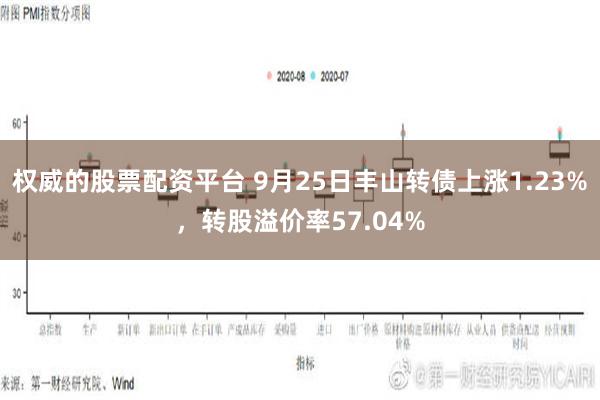 权威的股票配资平台 9月25日丰山转债上涨1.23%，转股溢价率57.04%