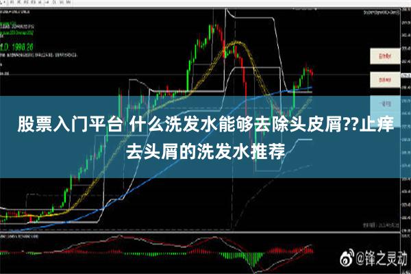 股票入门平台 什么洗发水能够去除头皮屑??止痒去头屑的洗发水推荐