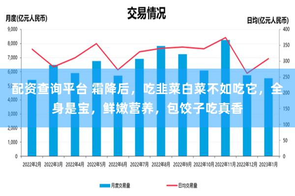 配资查询平台 霜降后，吃韭菜白菜不如吃它，全身是宝，鲜嫩营养，包饺子吃真香