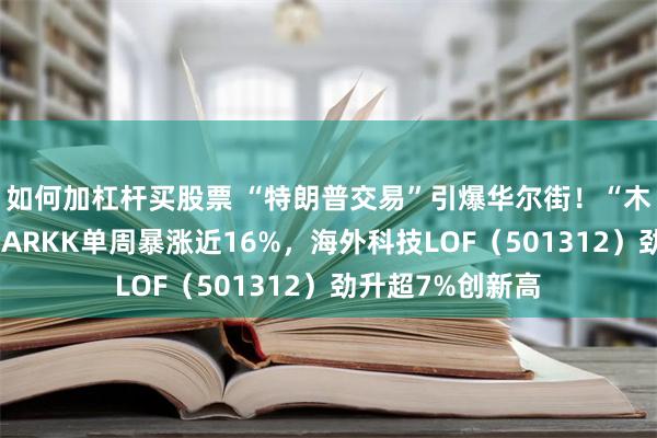 如何加杠杆买股票 “特朗普交易”引爆华尔街！“木头姐”旗舰基金ARKK单周暴涨近16%，海外科技LOF（501312）劲升超7%创新高