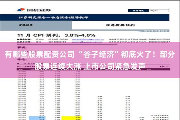 有哪些股票配资公司 “谷子经济”彻底火了！部分股票连续大涨 上市公司紧急发声