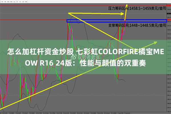 怎么加杠杆资金炒股 七彩虹COLORFIRE橘宝MEOW R16 24版：性能与颜值的双重奏