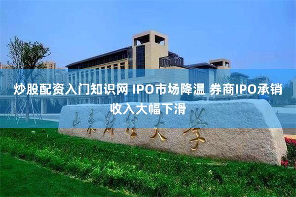 炒股配资入门知识网 IPO市场降温 券商IPO承销收入大幅下滑